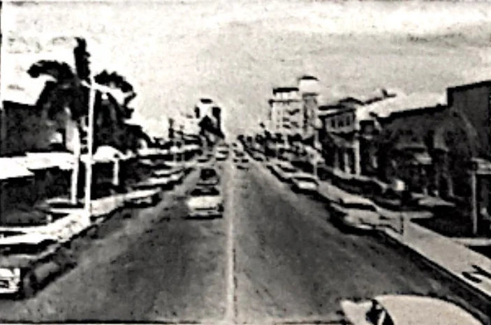 A palm-lined Lincoln Road with cars, from the upper-left photograph in Deborah’s brochure.